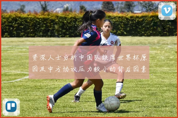 资深人士分析中国队缺席世界杯原因及中方协议压力较小的背后因素